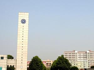 Reloj de Torre de Doble Cara con Control Remoto